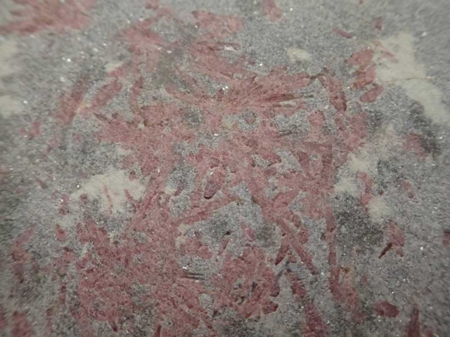 PA020239