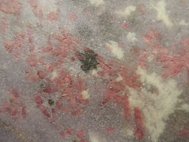 PA020240