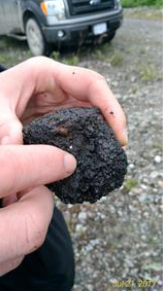 Sean Maire indicating ‘blue’ garnet Blue Garnet