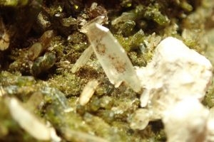 OLYMPUS DIGITAL CAMERA