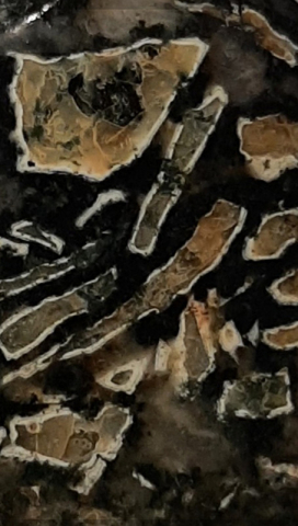 Dallasite close up - Karen Randall Dallasite close up - Karen Randall