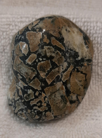Dallasite pebble - Karen Randall Dallasite pebble - Karen Randall