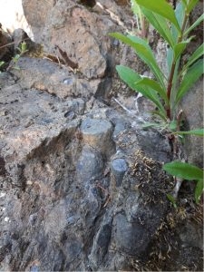 B8A240272A6C4FF9B4EEEE04A8F86919