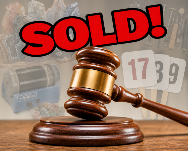 2026 Member's Auction