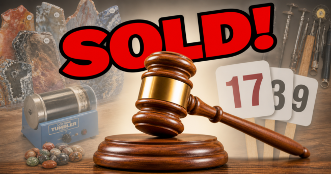 2026 Member's Auction