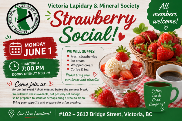 Strawberry Social VLMS