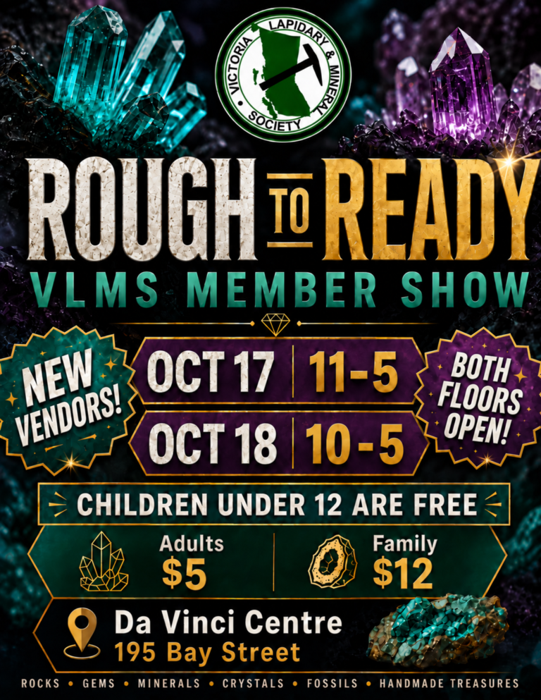 2026 VLMS Rough to Ready Show